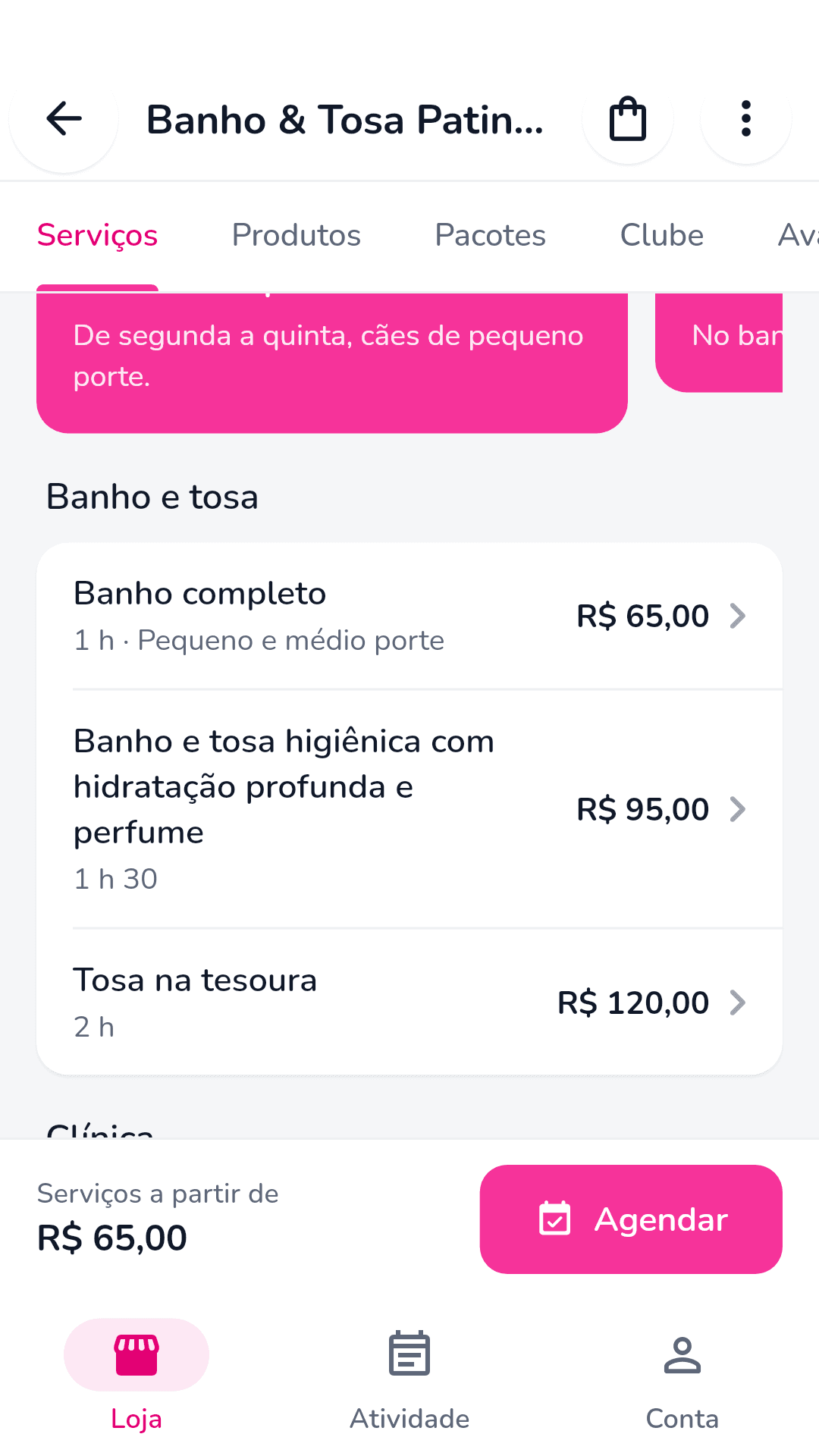 App Pette do tutor: serviços
